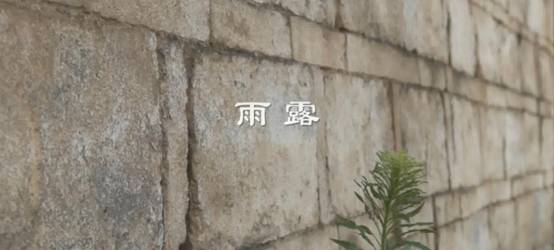 石頭磚墻描述已自動生成